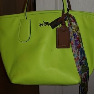 Yellow coach bag and scarf